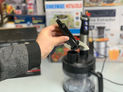 Redmond Hand Mixer and Blender Stainless Steel