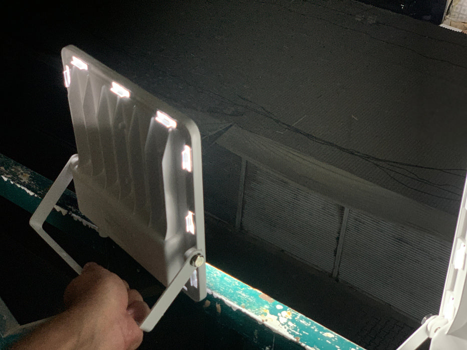 LED IP66 Electric Emergency Flood Light 50W and 100W