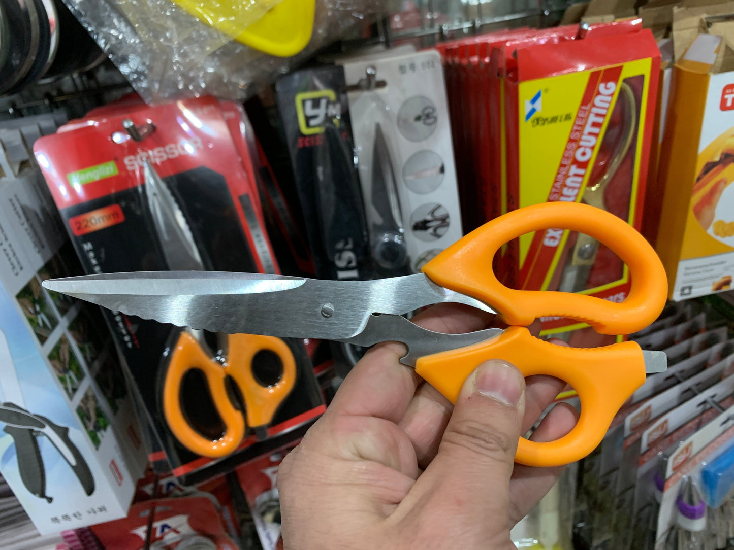 Daily Routine Scissors